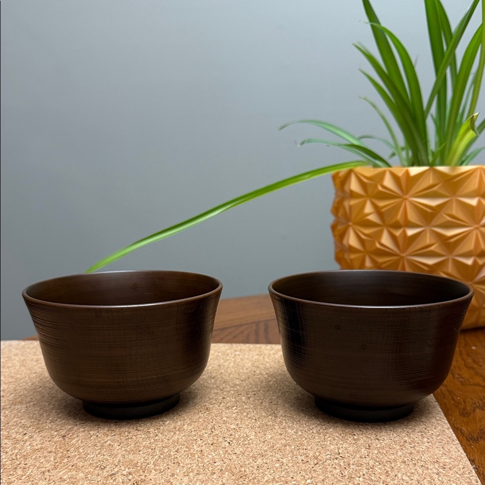 Set of Two Plastic Bowls Japanese Lacquer Bowl Looks like Wood Grain